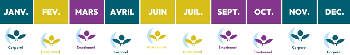 Diagramme d'un programme annuel. Janvier: corporel. Février: nutritionnel. Mars: émotionnel. Avril: corporel. Juin: nutritionnel. Juillet: nutritionnel. Septembre: émotionnel. Octobre: émotionnel. Novembre: corporel. Décembre: corporel.